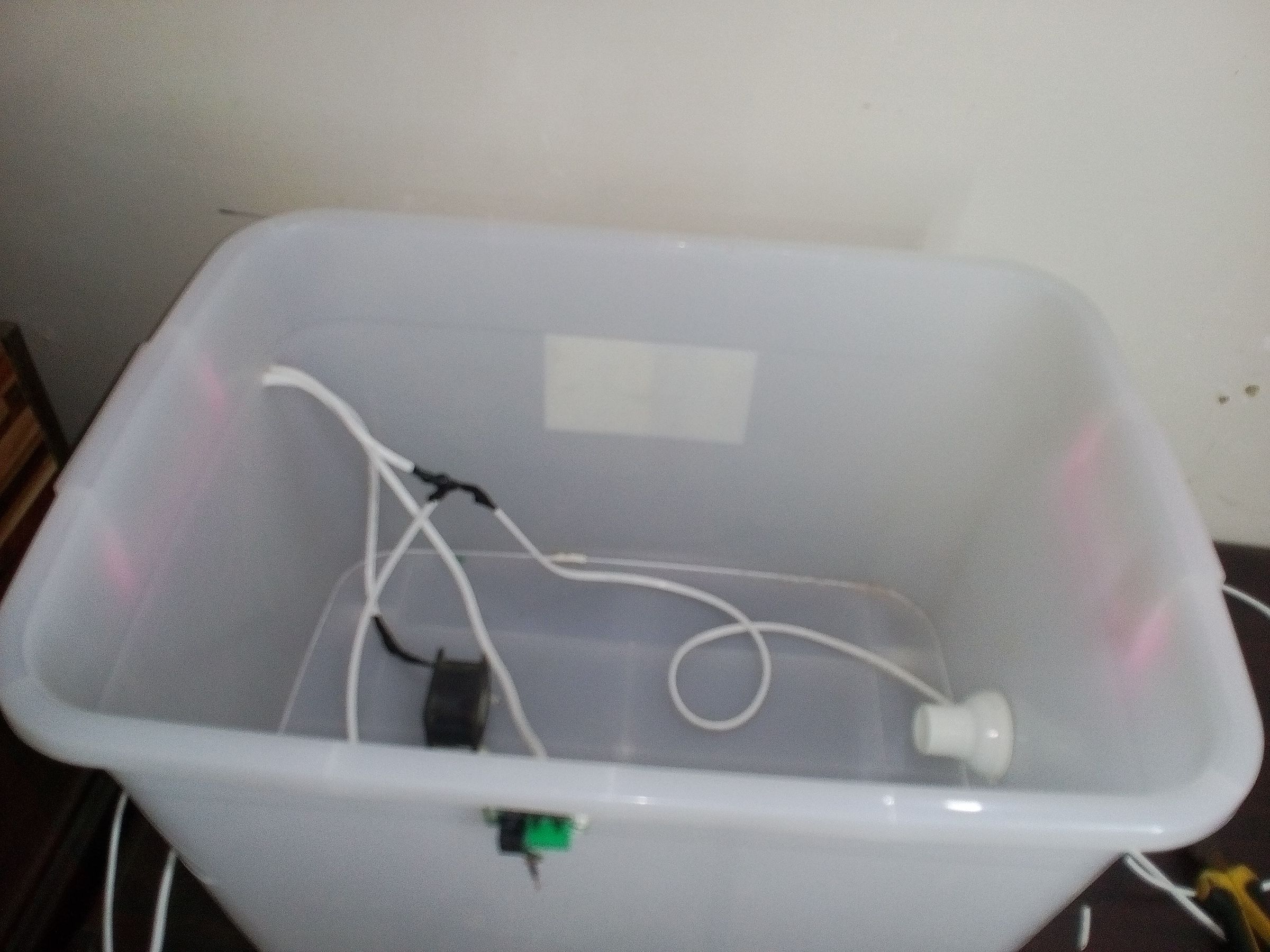 How to Make Homemade Incubator Egg Hatcher at Home 5 Steps (with