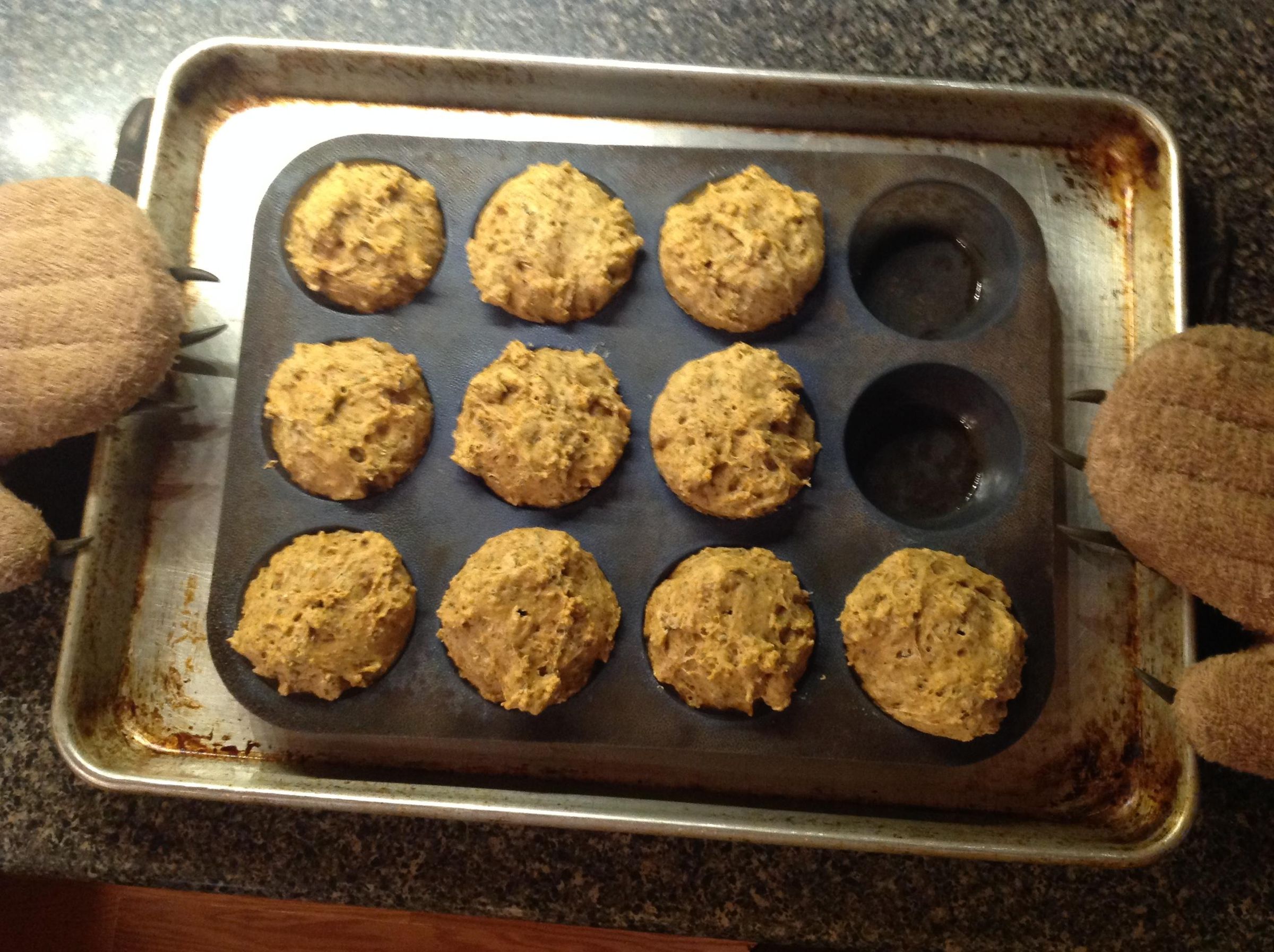 Spicy Oregano Quick Bread Muffins 6 Steps (with Pictures) Instructables