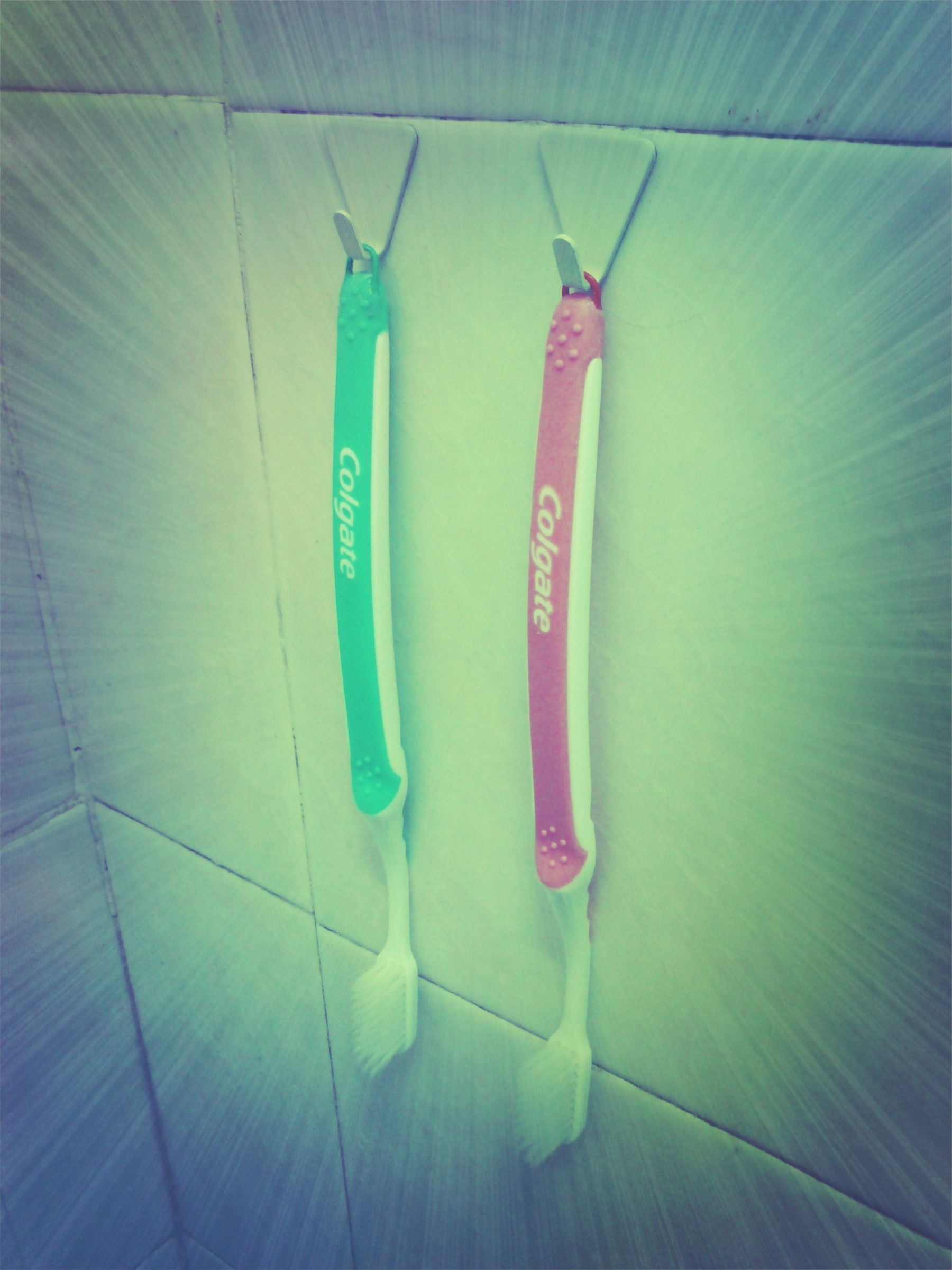 Toothbrush Holder (Hang on the Wall)