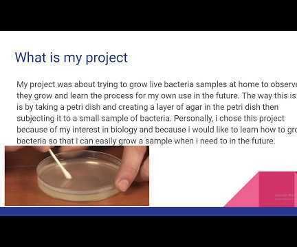 Growing Bacteria at Home