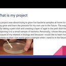 Growing Bacteria at Home