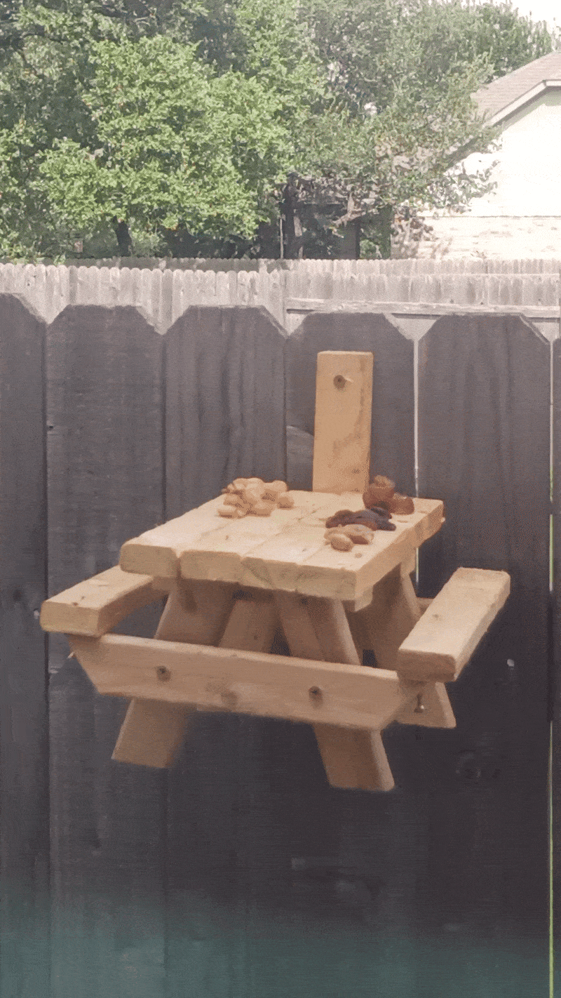 More Bench Visitors!