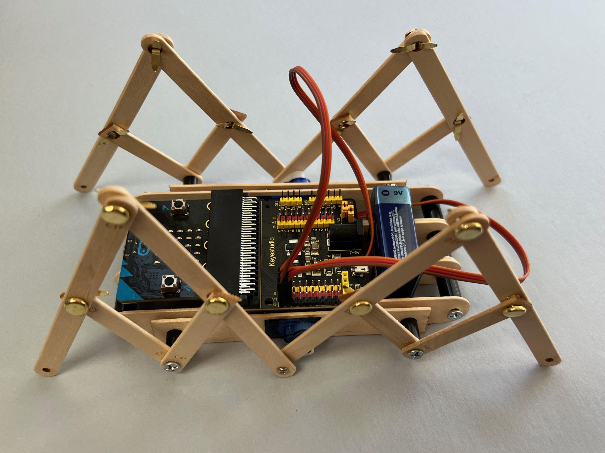 Microbit Popsicle StickBug หุ่นแมลงเดินได้ที่ทำจากไม้ Craft Stick