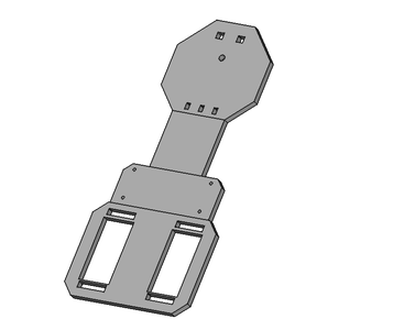 Torso