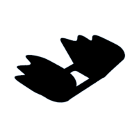 download {{ file.name }}