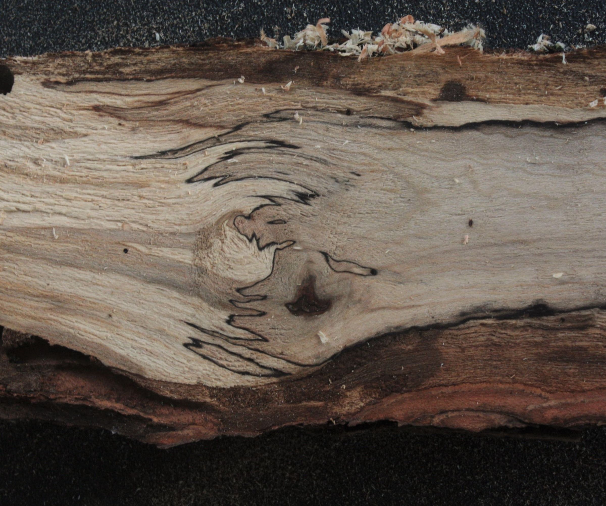 From Firewood to Wood Blanks 