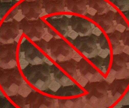 Alternative to Egg Crate Flats for Breeding Crickets or Roaches