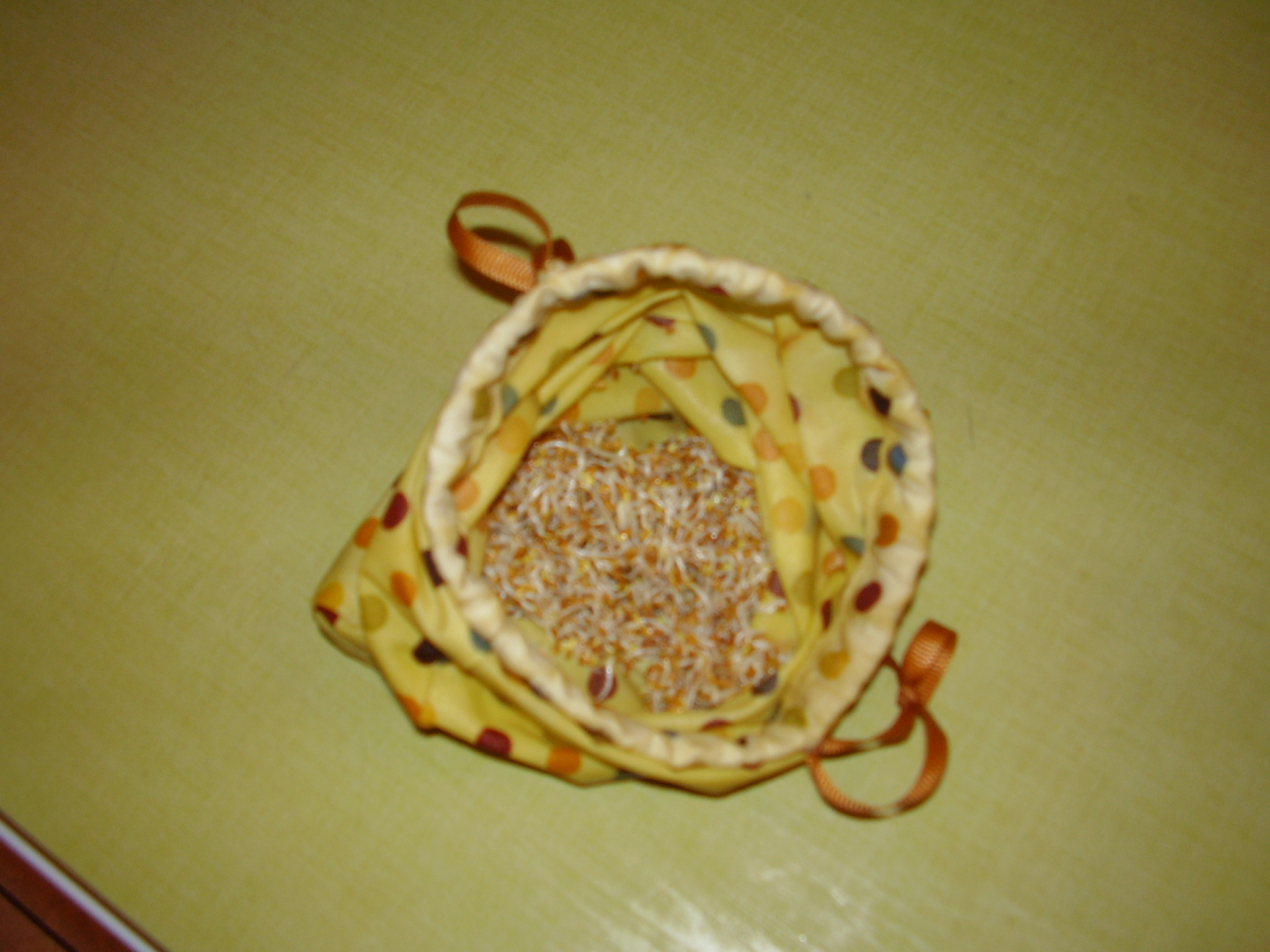 How to Make & Use a SeedSprouting Bag 5 Steps (with Pictures