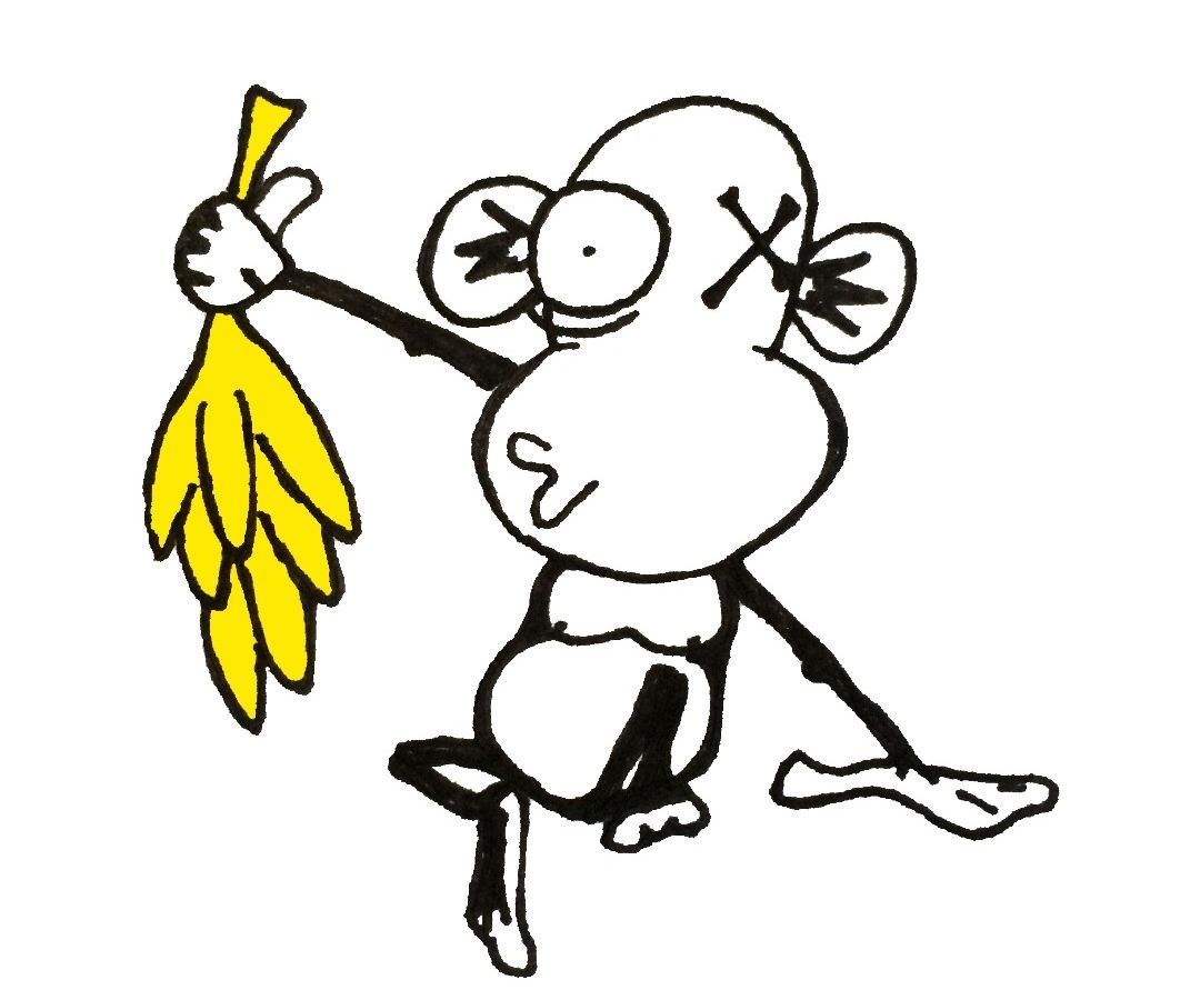 How to : Explain Everything