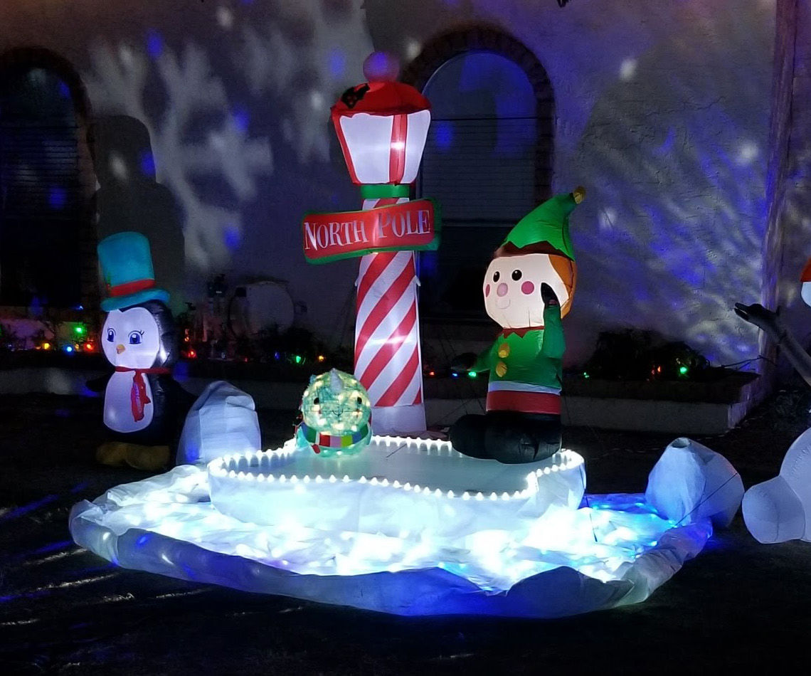 Iceberg for a Christmas Narwhal