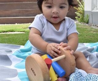 Rolling Baby Rattles