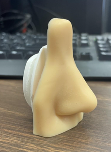 Prosthetic Nose