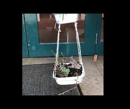 Water Recycling Plant Holder