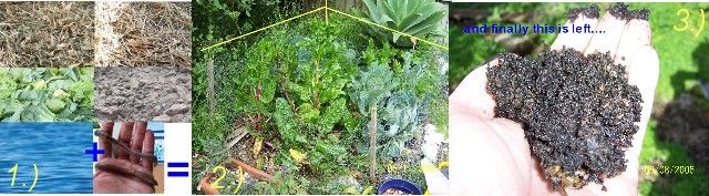 Easy Organic Garden Any Where - the NO DIG GARDEN