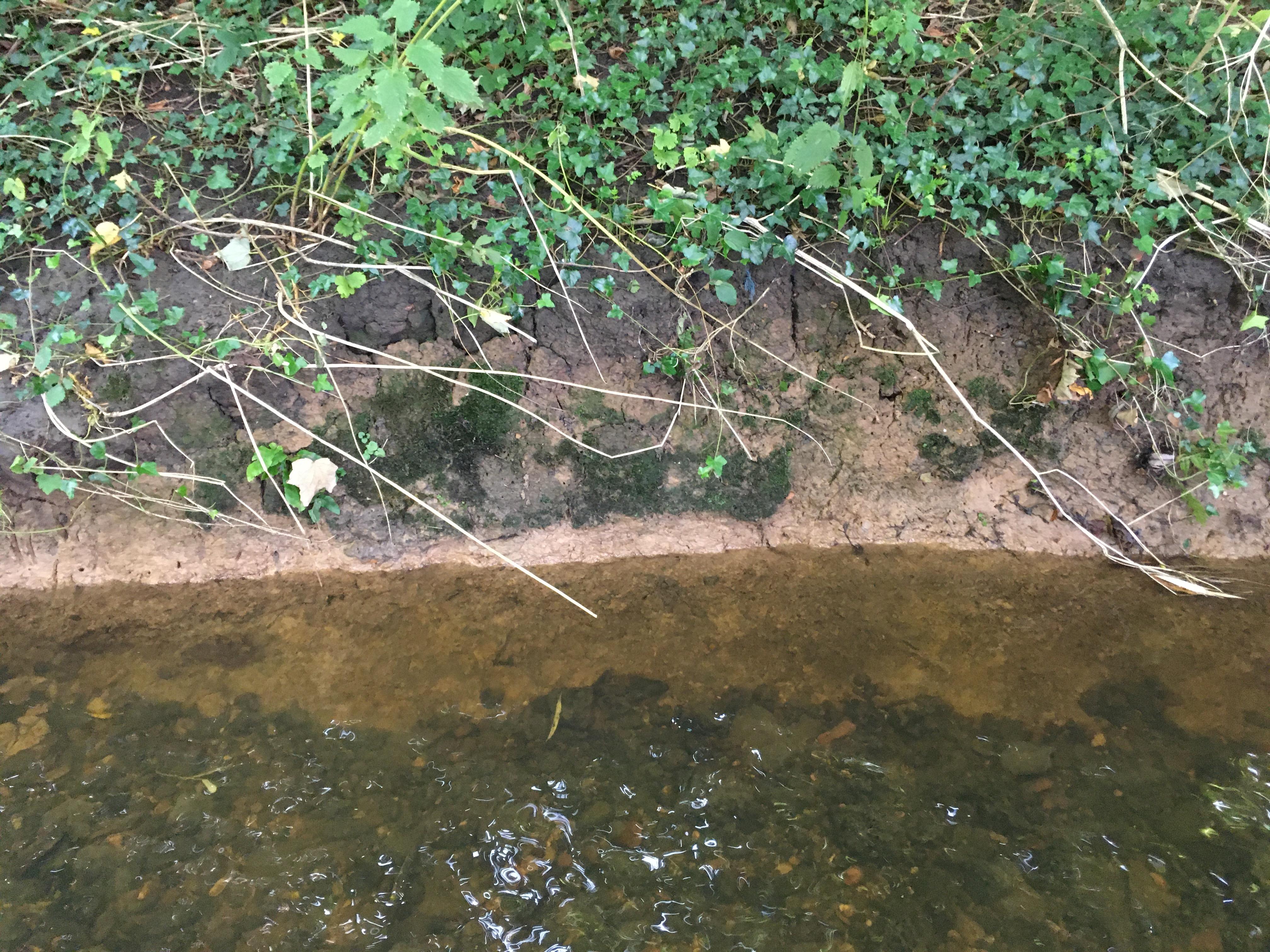 The River Clay Project From Riverbed to Dining Table 36 Steps (with