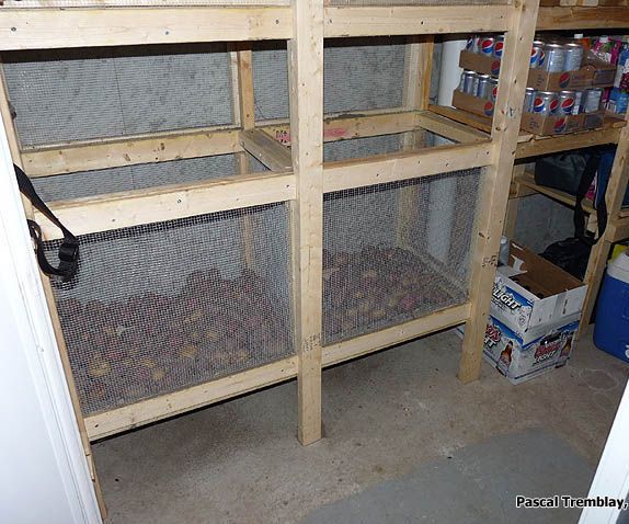 Vegetable Bins - Build Wire Mesh Vegetable Bins in Cold Room or Root Celar