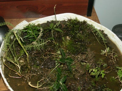 WHAT YOU NEED TO START