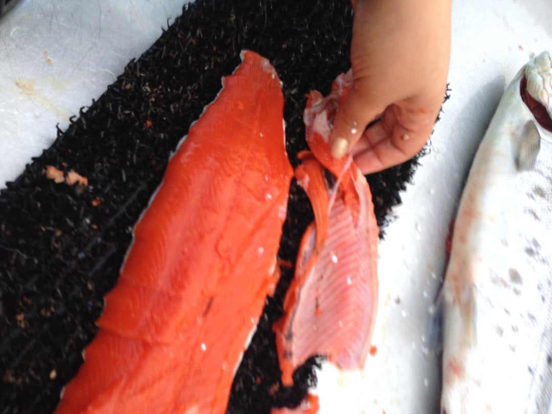 how to clean salmon fish
