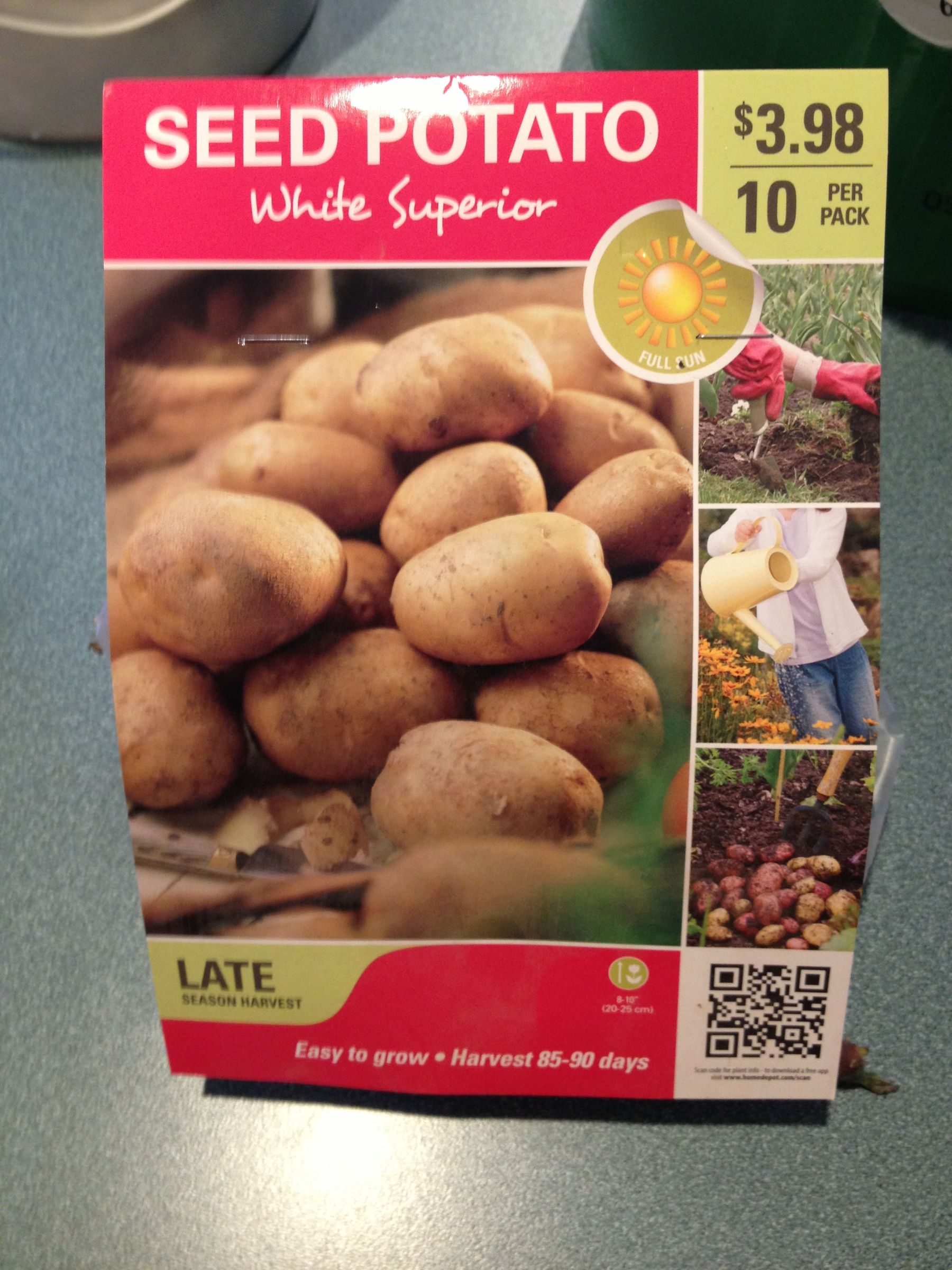 Grow Potatoes in a 5 Gallon Bucket
