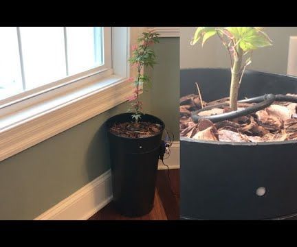 Upgrade the DIY Self Watering Pot With WiFi Into a DIY Motion Detect Sentry Alarm Planter