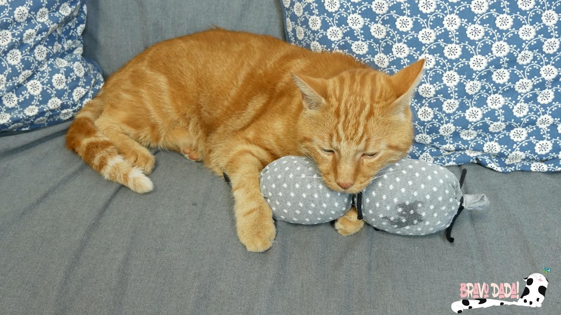 DIY How to Make a Cat Toy Out of Old Socks Old Clothes Reuse Ideas