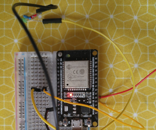 Pet That Lights Up Upon Interaction