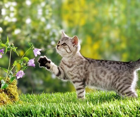 The Art of TaeKwon-Do Practise Run