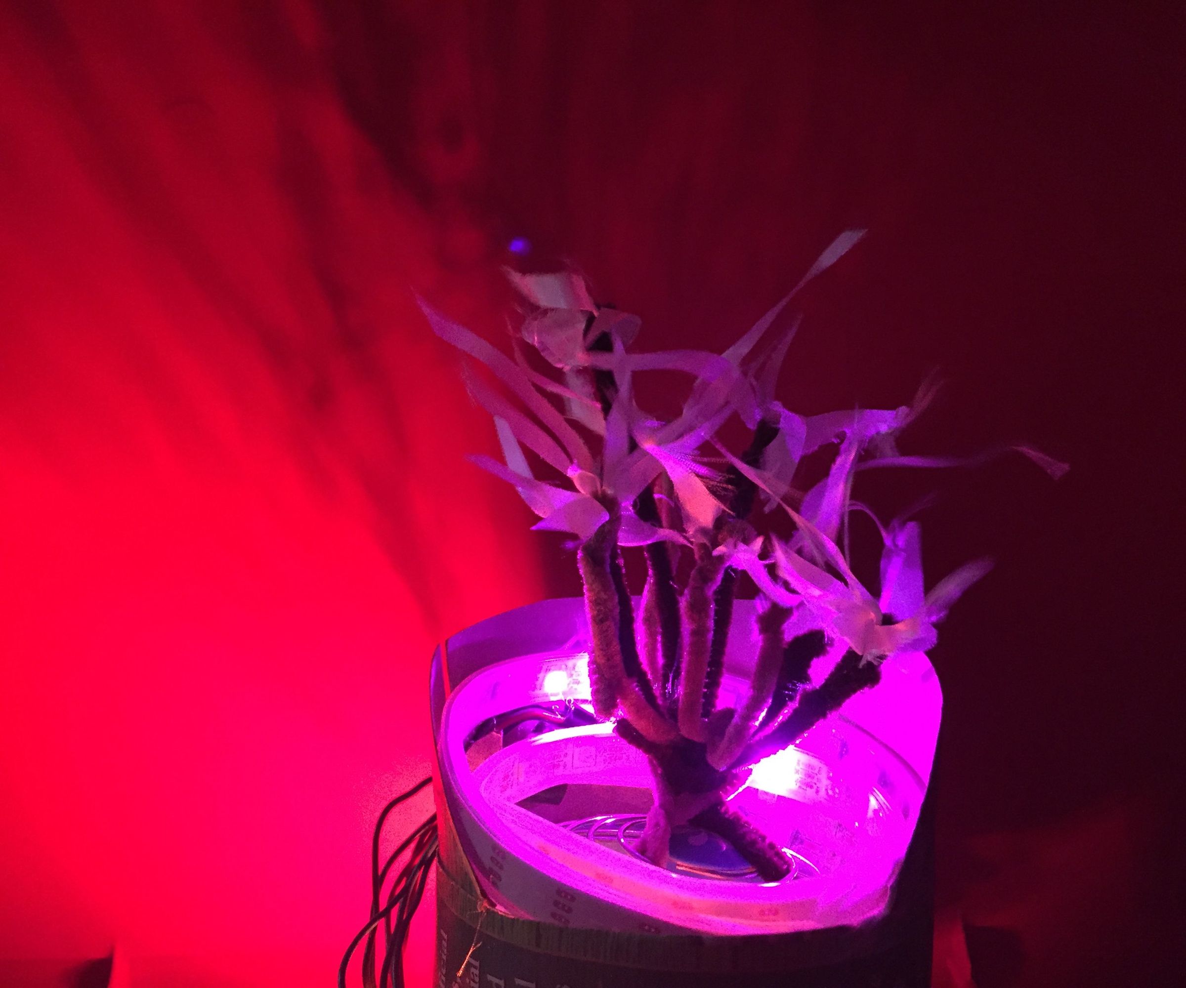 Neopixel Talk to the Burning Bush Lamp