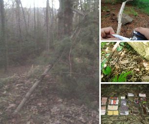Survival Skills