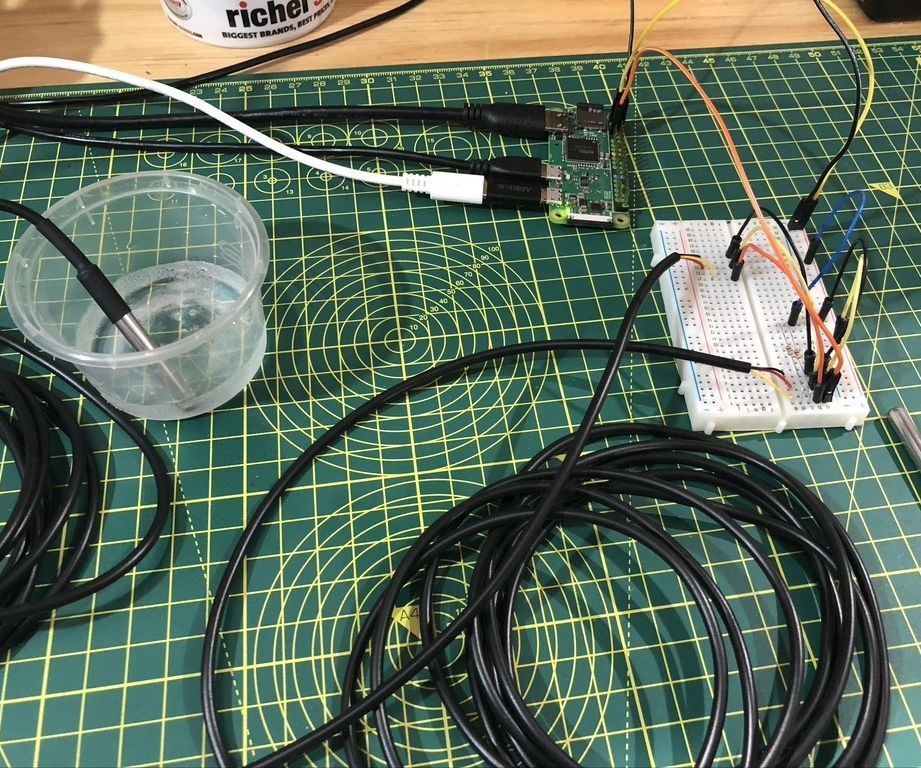 IoT Dual Temperature Data Server