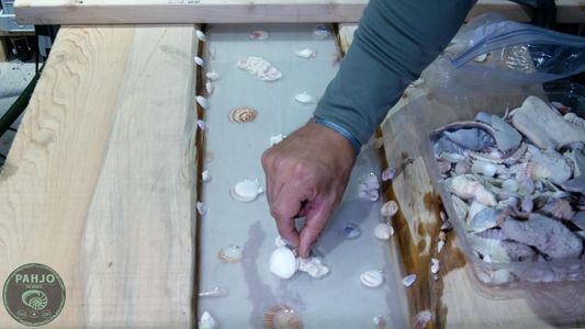 How to Set Seashells in Resin : 10 Steps (with Pictures) - Instructables