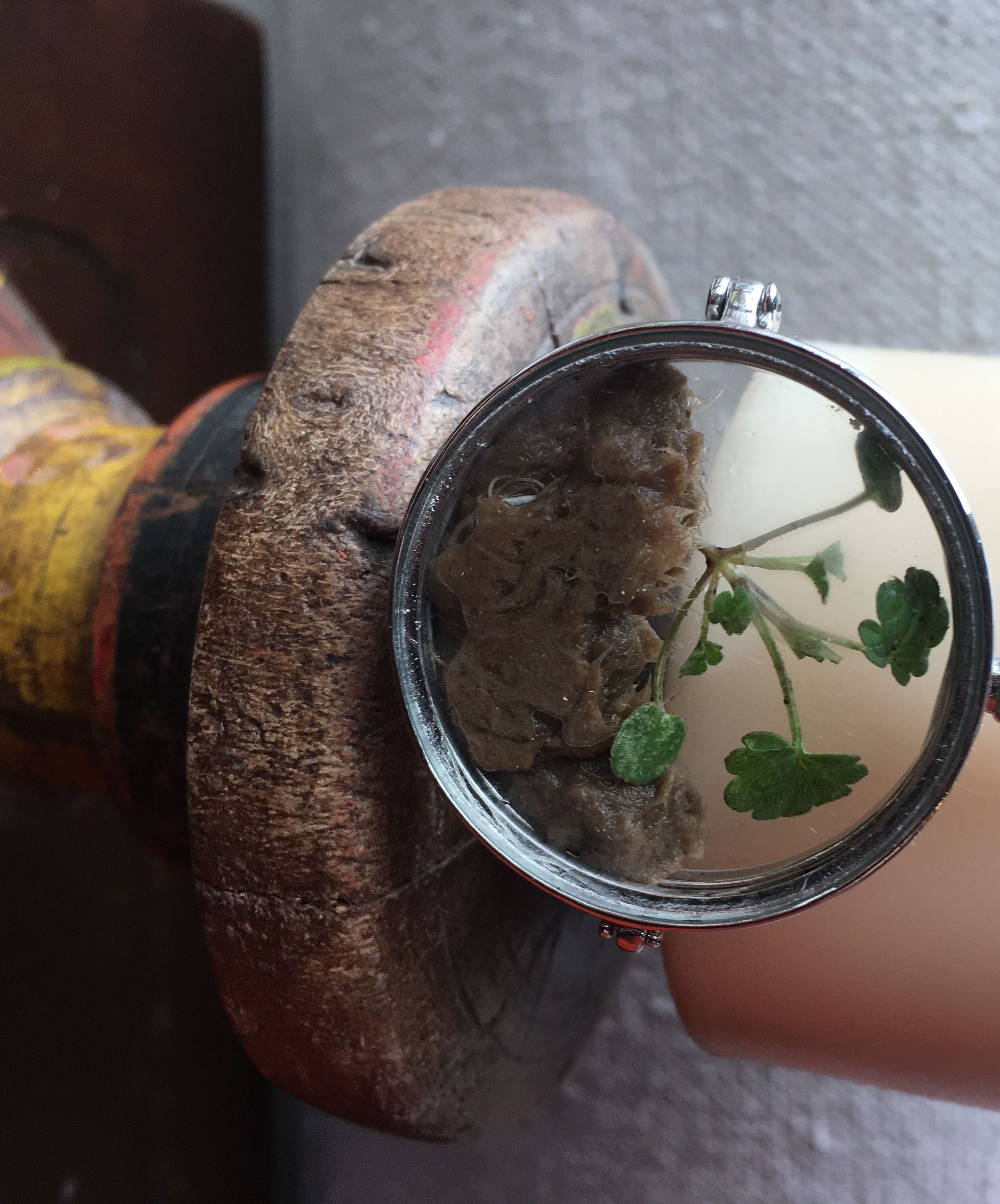 Living Necklace Made From a Toilet Paper Tube