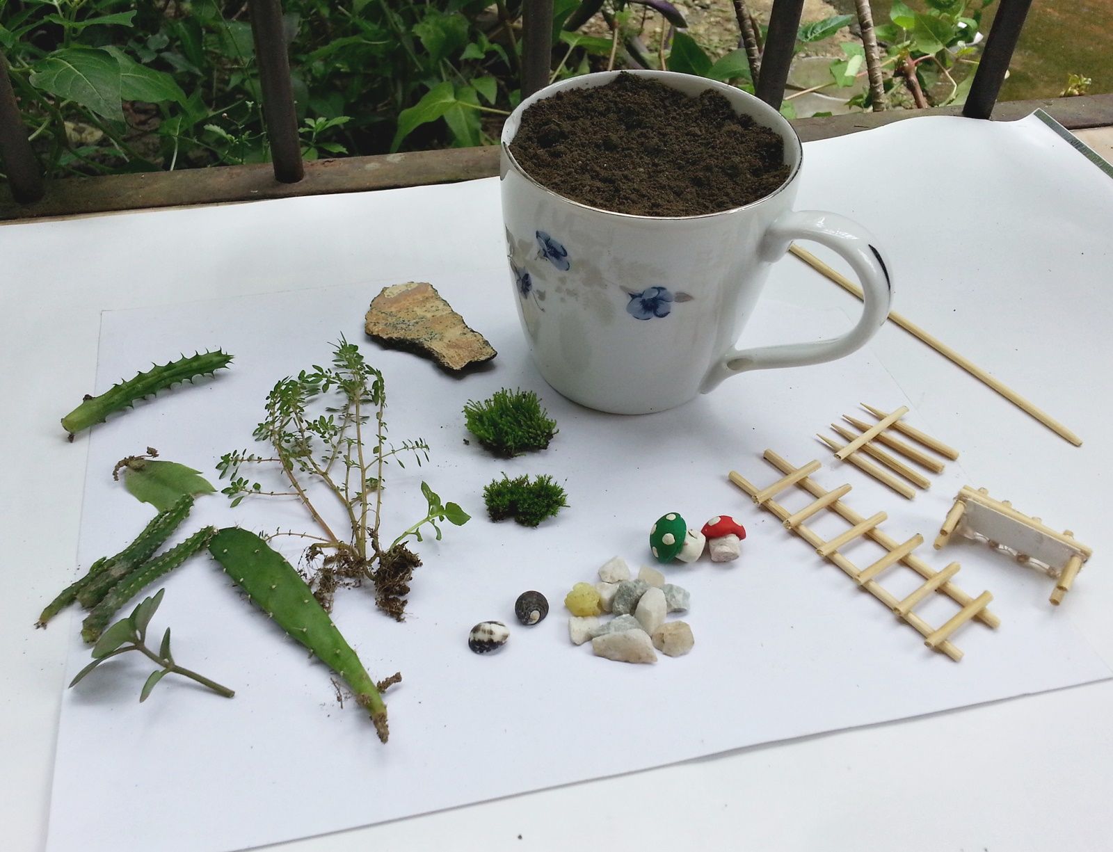 DIY Cup Garden : 9 Steps (with Pictures) - Instructables