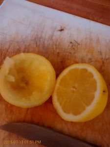 Brine and Spices
