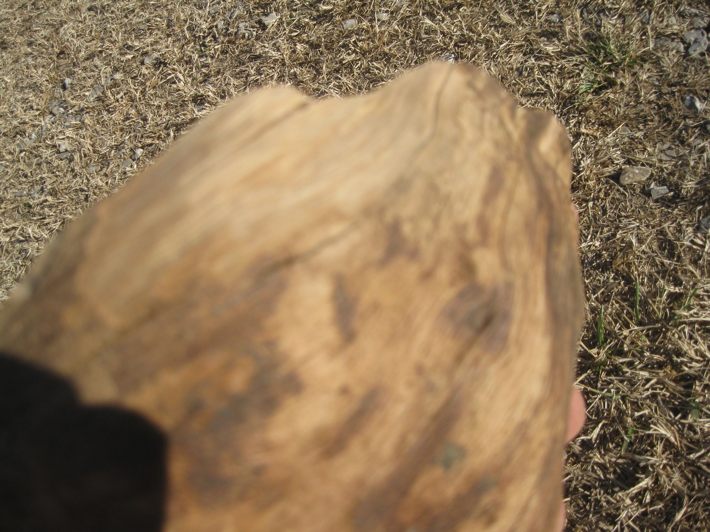 Making a Burl Bowl : 7 Steps (with Pictures) - Instructables