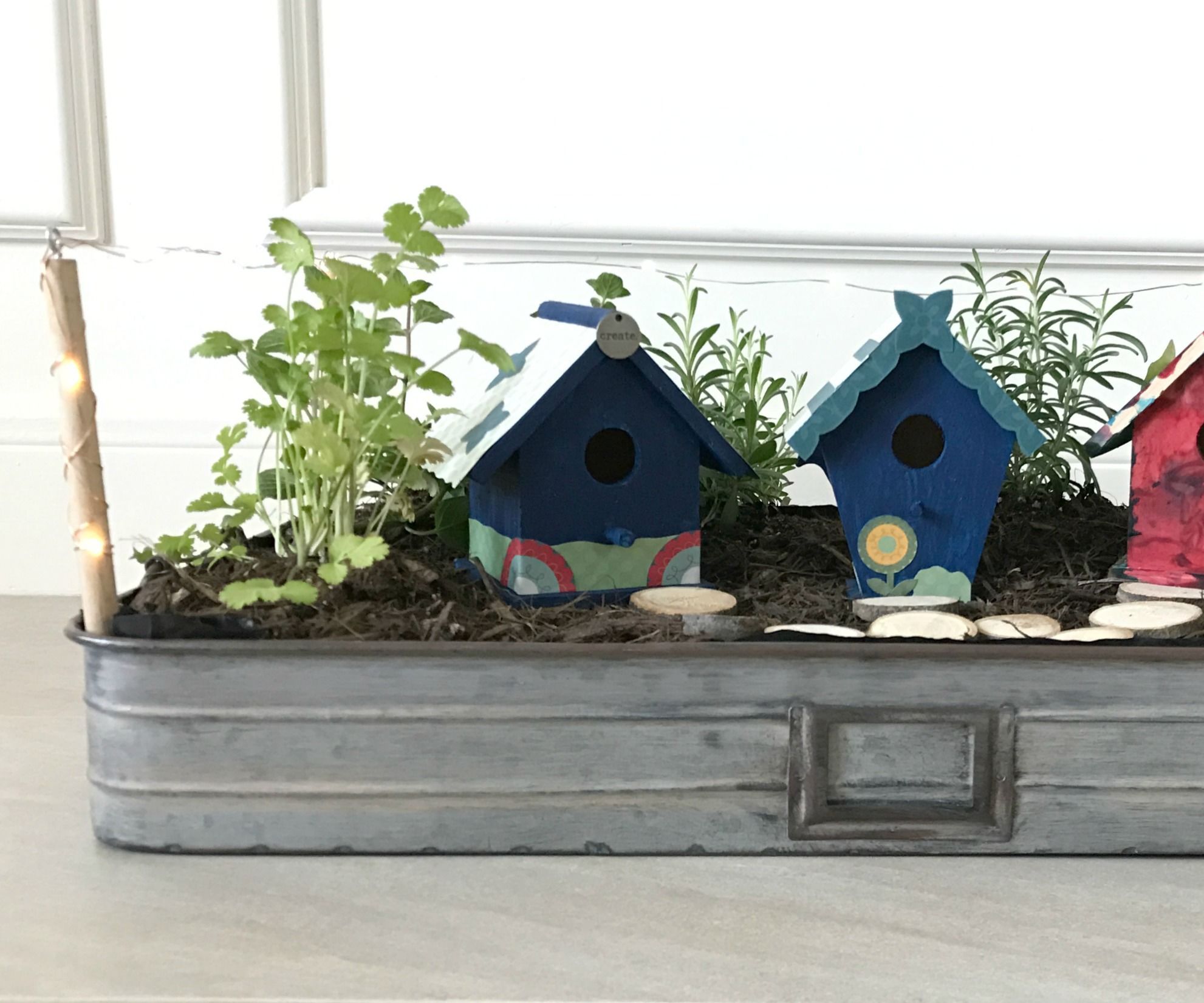 DIY Indoor Herb or Fairy Garden With Mini LED Lights
