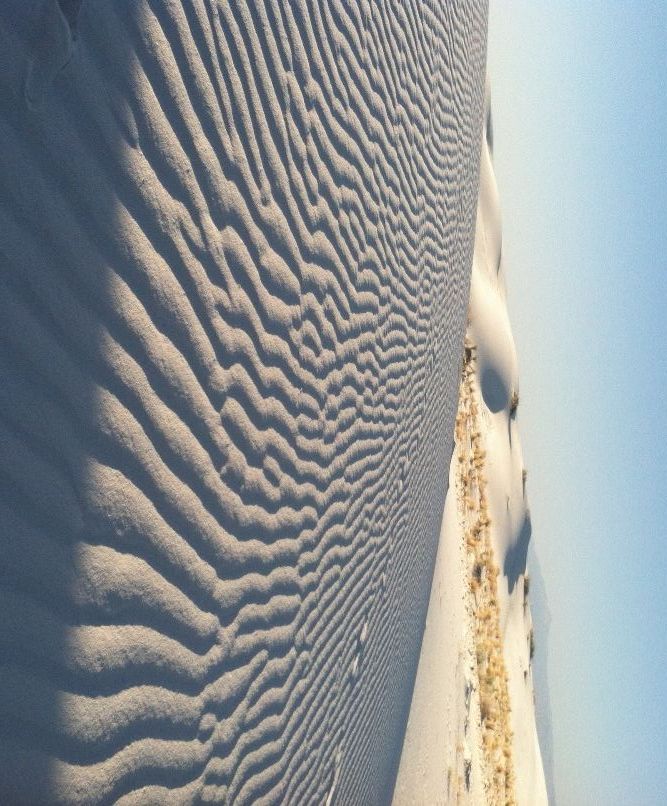 Basics for Phone Photography