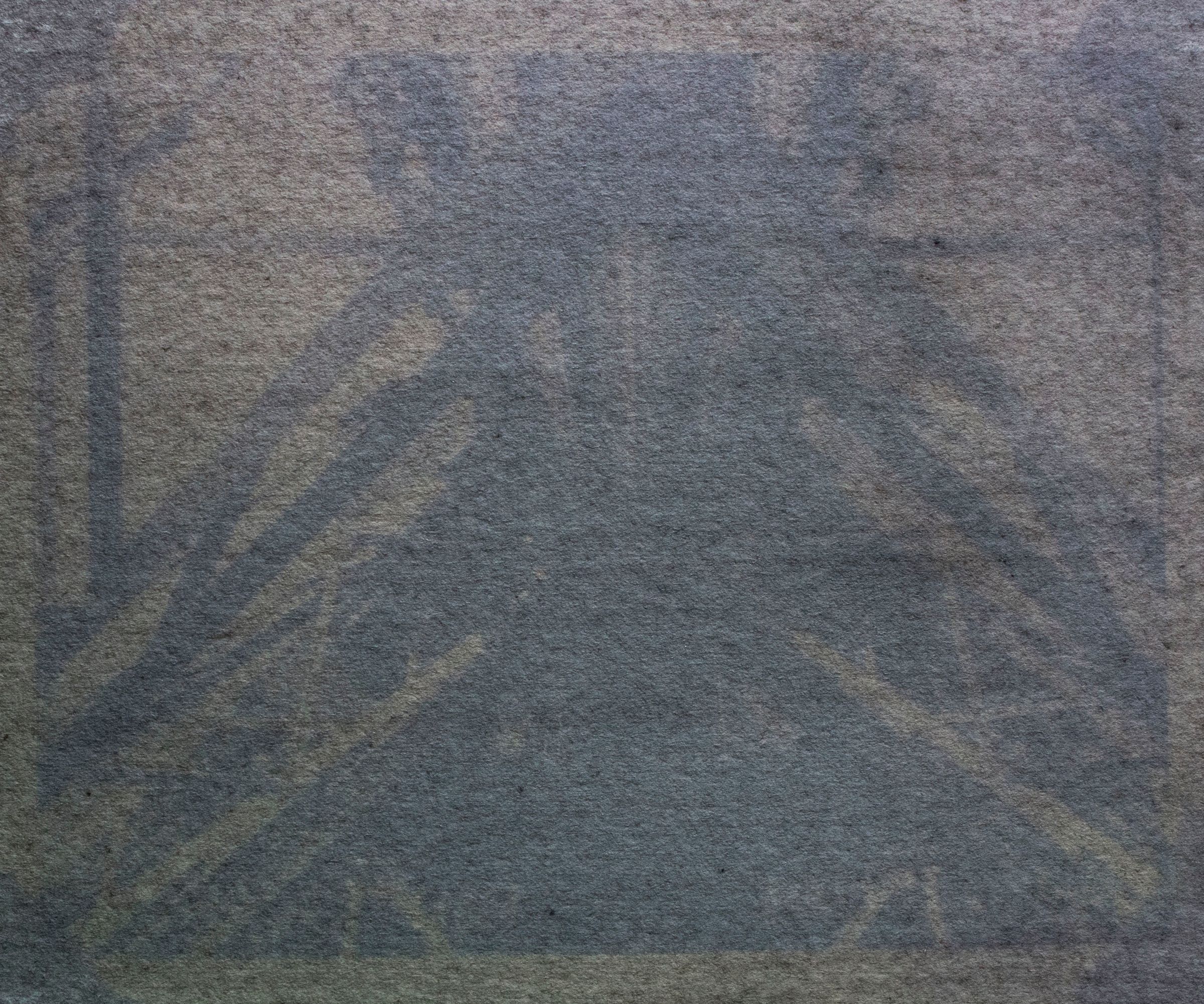 DIY Anthotype Prints: Photography