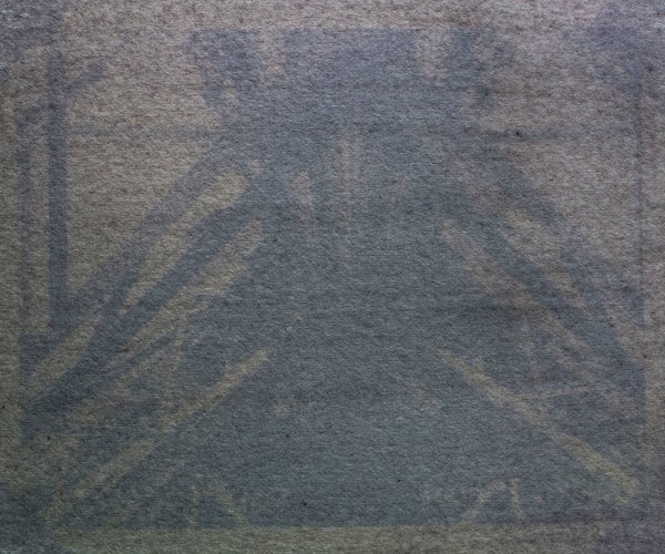 DIY Anthotype Prints: Photography