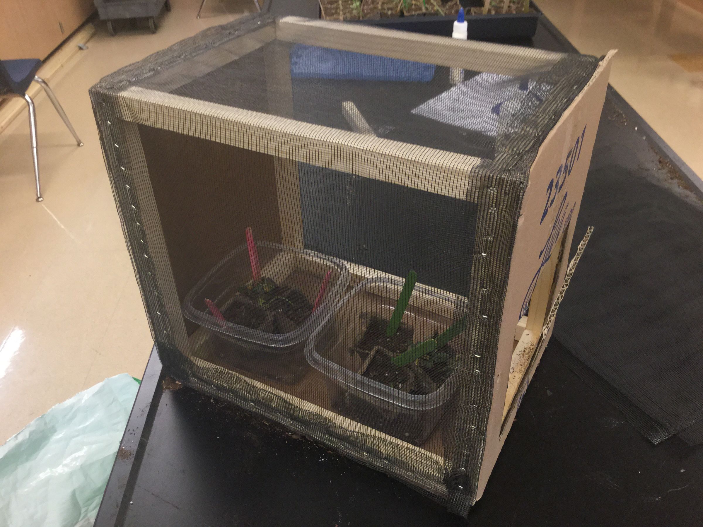 How to Build a Bug Box 5 Steps Instructables