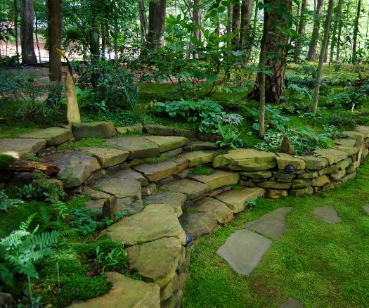 How to Create a Moss Garden