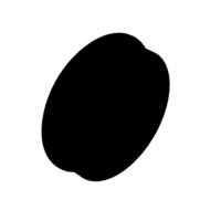 download {{ file.name }}