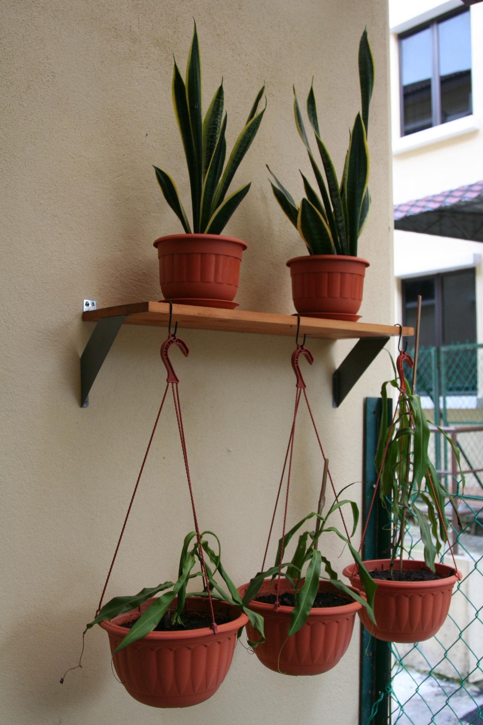 IKEA Fabian Shelf Turned Into a Cheap Hanging Garden Shelf : 4 Steps -  Instructables