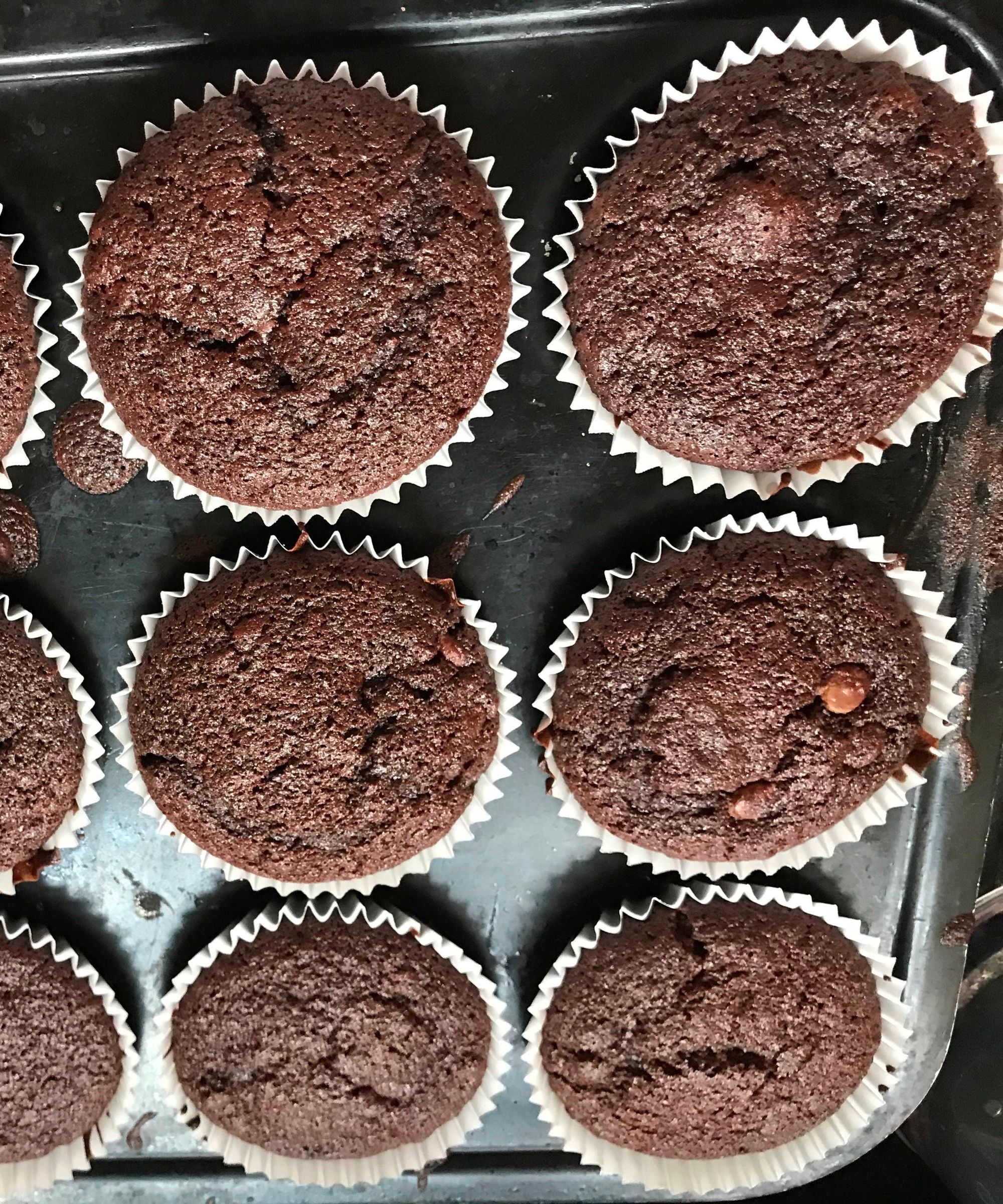 Chocolate Muffins