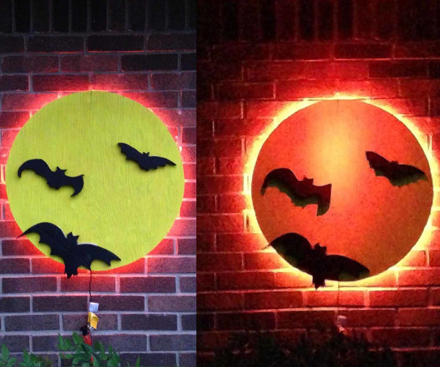 Haunted Bat Moon (Reclaimed)