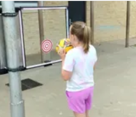 Accessible Target Throwing System