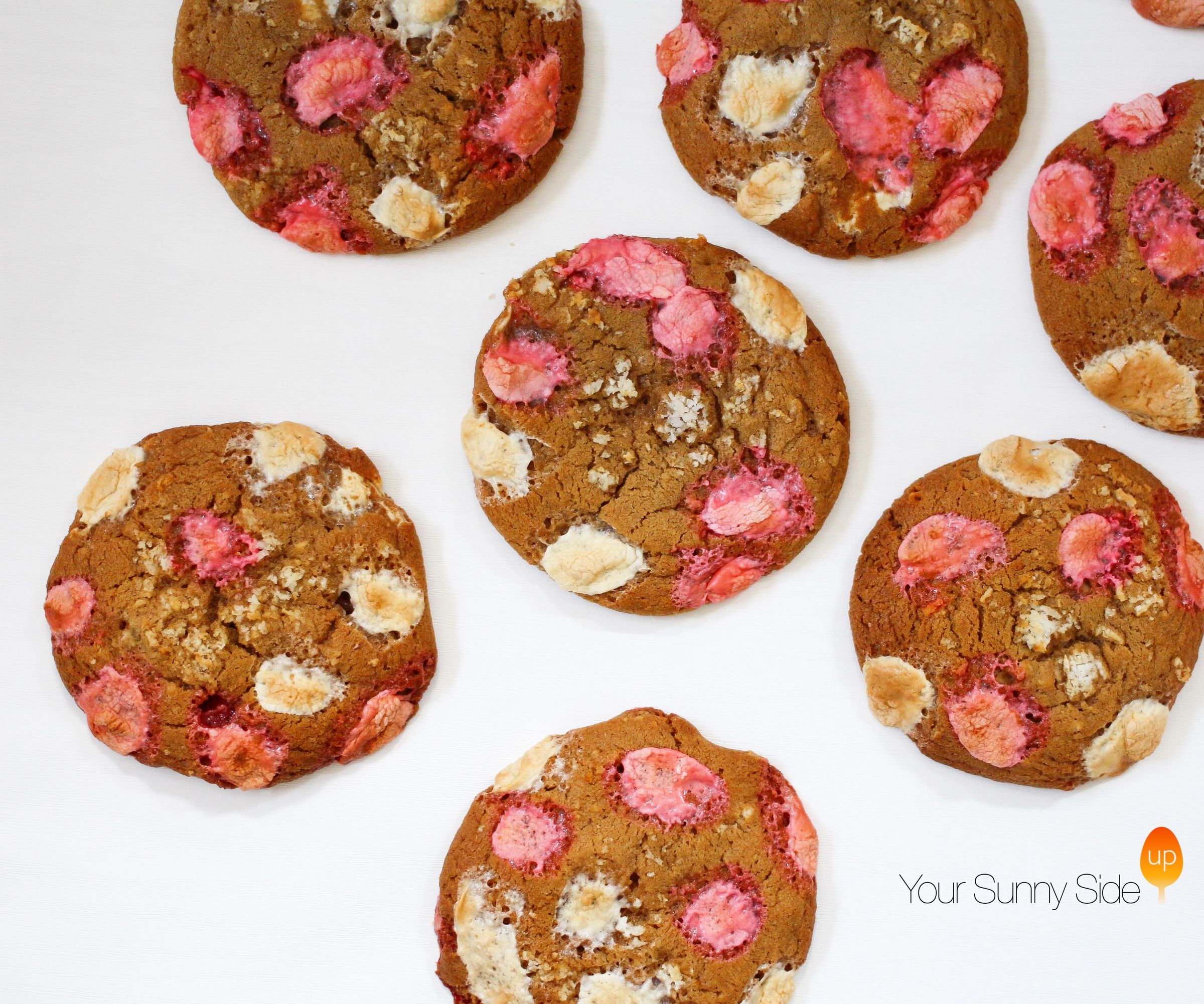 Coconut & Marshmallow Cookies