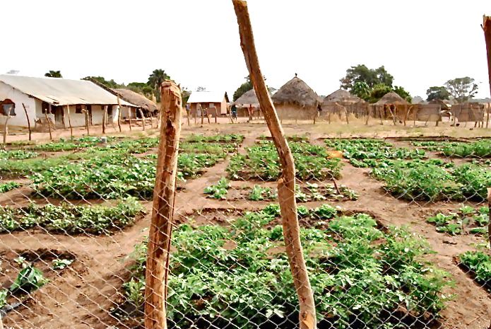 A School Garden for Every School in All the Developing Countries