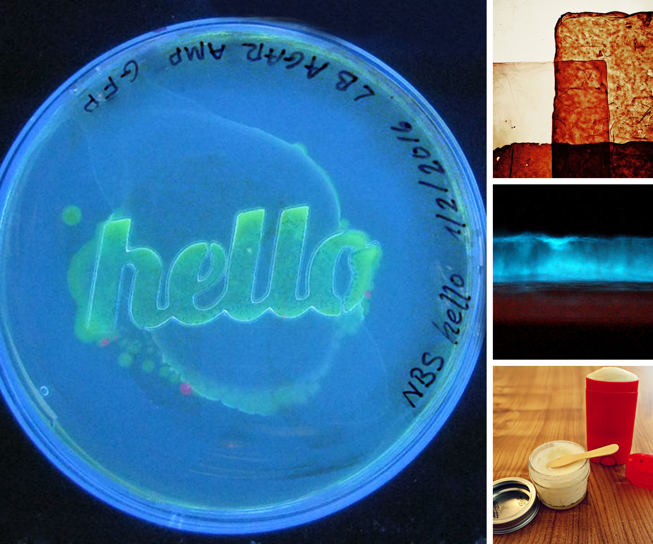 Bio Lab