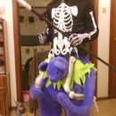 Grateful Dead Carry me costume